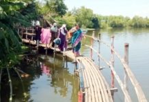 ভাঙা পথ আর বাঁশের সাঁকোতেই আশাশুনির ৬ গ্রামের ২৮ হাজার মানুষের চরম দুর্ভোগ