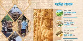 পাটের আঁশে লাভের আশা