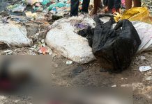 আদাবরে নারীর ৪ টুকরো মরদেহ উদ্ধার, পাওয়া যায়নি দুই পা