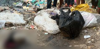 আদাবরে নারীর ৪ টুকরো মরদেহ উদ্ধার, পাওয়া যায়নি দুই পা