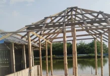 কয়রায় সরকারি স্কুলের পরিত্যক্ত ভবনের টিন ও বেঞ্চ গোপনে বিক্রির অভিযোগ