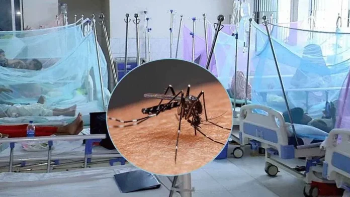 dengue-6a981933a7496-6aaa81fa6525c