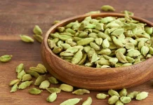 যেভাবে এলাচ খেলে ওজন কমবে