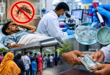 খুলনায় ডেঙ্গু রোগীদের নিয়ে রমরমা প্যাথলজি বাণিজ্য: টেস্টের নামে চরম হয়রানি ও অর্থ লুটের অভিযোগ