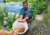 খুলনায় রঙিন মাছ ও সমন্বিত খামারে রাহুলের সাফল্য: অনুপ্রাণিত হচ্ছেন নতুন উদ্যোক্তারা