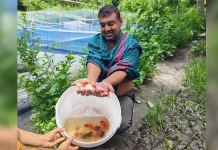 খুলনায় রঙিন মাছ ও সমন্বিত খামারে রাহুলের সাফল্য: অনুপ্রাণিত হচ্ছেন নতুন উদ্যোক্তারা
