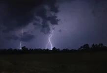 বাগেরহাটে বজ্রপাতে ২ ভাইয়ের মৃত্যু