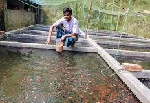 রঙিন মাছ চাষে আব্দুল্লাহর সাফল্য