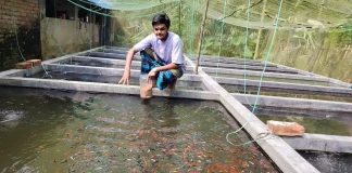 রঙিন মাছ চাষে আব্দুল্লাহর সাফল্য