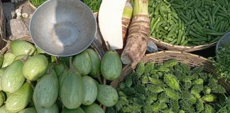 খুলনার বাজারে ফের চড়া সুর: সবজি, মুরগি ও ডিমের দামে নাভিশ্বাস ক্রেতাদের