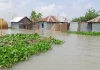 পদ্মায় পানি বাড়ার গতি কমলেও বেড়েছে দুর্ভোগ