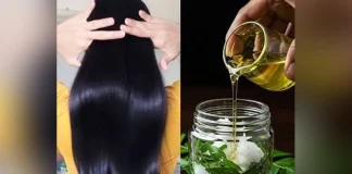 চুল ঝরে পড়া রোধে নারকেল তেলে মেশান ২ উপাদান