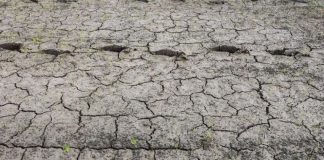 এল নিনোর প্রভাবে ইতিহাসের উষ্ণতম মাস আগস্ট