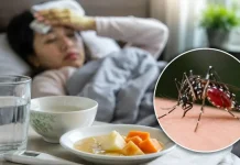 ডেঙ্গু থেকে বাঁচবেন যেভাবে