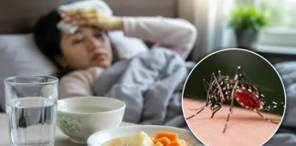 ডেঙ্গু থেকে বাঁচবেন যেভাবে