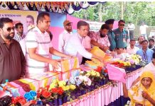 সন্ত্রাস-মাদকে জিরো টলারেন্স, বন্ধ পাটকল চালুর মাধ্যমে কর্মসংস্থানের প্রতিশ্রুতি হুইপ বকুলের