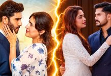 নিলয়-হিমির নাটক পাকিস্তানি ‘শেইদাই’র হুবহু নকল