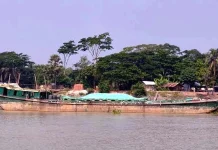 সুন্দরবনে ২৬০ টন কয়লাবোঝাই কার্গো জব্দ, আটক ৯