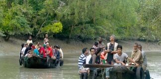 পর্যটন মৌসুমে সরগরম সুন্দরবন, রাজস্ব বৃদ্ধির হাতছানি