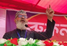 পিরোজপুরে কোনো আউয়াল-মালেক তৈরি হতে দেওয়া হবে না: মাসুদ সাঈদী