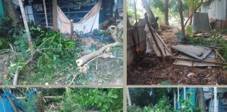 দাকোপে বসতবাড়ি দখলের চেষ্টায় হামলা, নারীসহ আহত ২