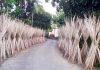 কদর বেড়েছে পাটকাঠির