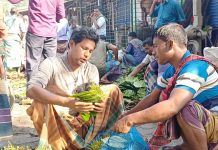 উৎপাদন খরচ আকাশচুম্বী, দাম নেই বাজারে: লোকসানের মুখে মেহেরপুরের পানচাষিরা