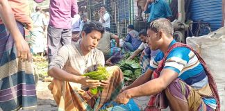 উৎপাদন খরচ আকাশচুম্বী, দাম নেই বাজারে: লোকসানের মুখে মেহেরপুরের পানচাষিরা