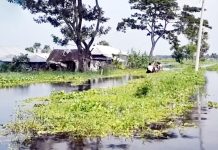 পাঁচ মাস ধরে পানিবন্দি বিল ডাকাতিয়ার অর্ধশত গ্রাম: চরম দুর্ভোগে লাখো মানুষ