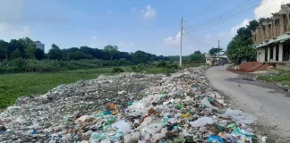 কপোতাক্ষের তীরে যন্ত্রণার ভাগাড়