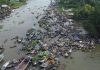নদীর বুকে নৌকায় বসে হাট, তিন ঘণ্টায় কোটি টাকার চারাগাছ বেচাকেনা