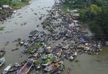 নদীর বুকে নৌকায় বসে হাট, তিন ঘণ্টায় কোটি টাকার চারাগাছ বেচাকেনা