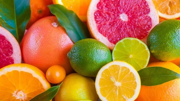 citrus-6ad0703af06f7