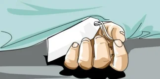 গাছ থেকে সুপারি পাড়ায় ছোট ভাইয়ের লাঠির আঘাতে বড় ভাই নিহত