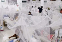 ডেঙ্গুতে এক দিনে ৪ মৃত্যু, হাসপাতালে ভর্তি ১৫১২