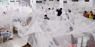 ডেঙ্গুতে এক দিনে ৪ মৃত্যু, হাসপাতালে ভর্তি ১৫১২