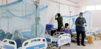 ডেঙ্গুতে ৯ মাসে মৃত্যু দাঁড়াল ২৫০ জনে