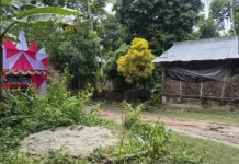 একই জমিতে মসজিদ-মন্দির, চলছে নামাজ ও পূজা-অর্চনা