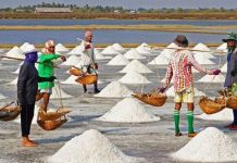 উৎপাদনে বাড়তি খরচ, সংকটে লবণ শিল্প