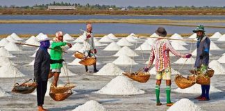 উৎপাদনে বাড়তি খরচ, সংকটে লবণ শিল্প