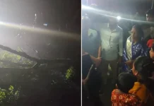 কুষ্টিয়ায় সড়কে গাছ ফেলে ডাকাতি, চার নারীর গয়না ছিনতাই