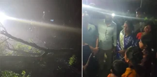 কুষ্টিয়ায় সড়কে গাছ ফেলে ডাকাতি, চার নারীর গয়না ছিনতাই