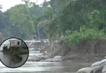 মধুমতির ভাঙনে নিঃস্ব আমডাঙ্গার মানুষ, চোখের সামনে নদীতে বিলীন মসজিদ