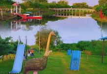 প্রকৃতির সান্নিধ্যে প্রশান্তি আর বিনোদনের অপূর্ব ঠিকানা শালিখার ইকোপার্ক