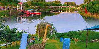 প্রকৃতির সান্নিধ্যে প্রশান্তি আর বিনোদনের অপূর্ব ঠিকানা শালিখার ইকোপার্ক
