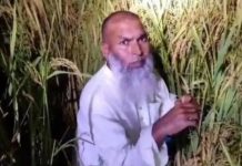 ধানক্ষেতে আত্মগোপন, গোবিন্দগঞ্জে আওয়ামী লীগ নেতা গ্রেফতার