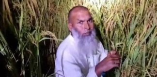 ধানক্ষেতে আত্মগোপন, গোবিন্দগঞ্জে আওয়ামী লীগ নেতা গ্রেফতার