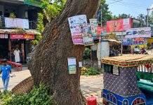 গাছ নয় যেন বিজ্ঞাপনের খুঁটি: যশোর-বেনাপোল মহাসড়কের পরিবেশ ও সৌন্দর্য বিপর্যস্ত