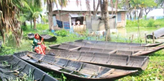 রাস্তায় রান্না, ঘরের মাচায় ঘুম