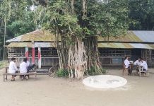 বটগাছের নিচে পাঠদান, ঝুঁকিপূর্ণ ভবনেই চলছে ক্লাস